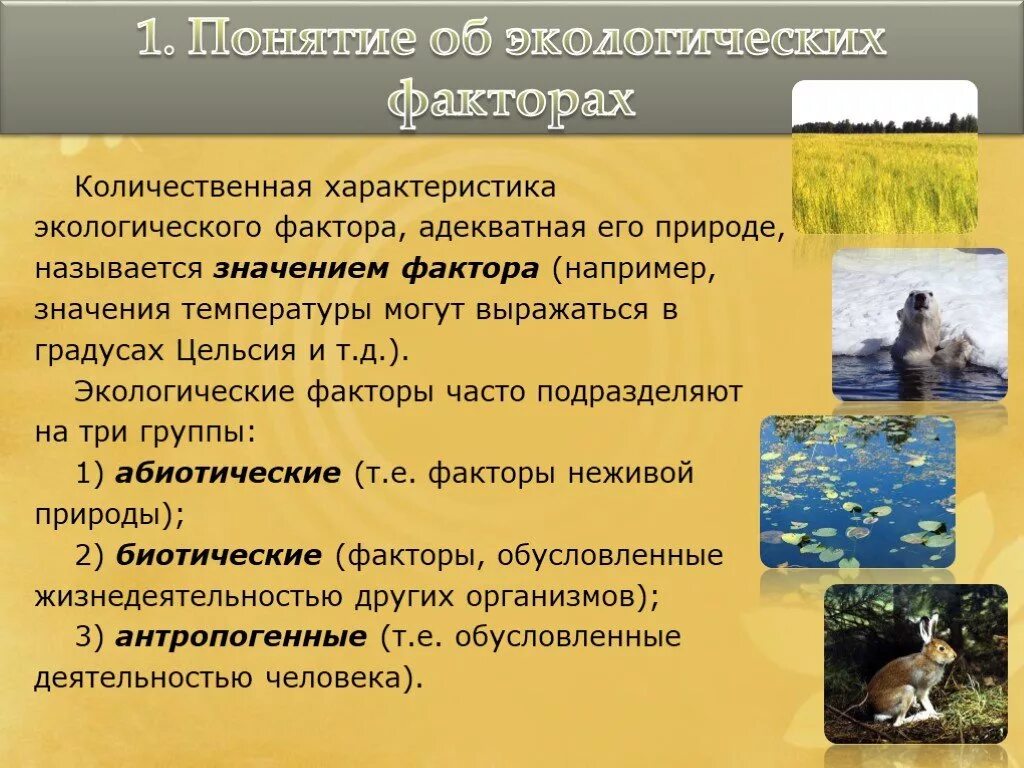 Какие факторы среды называют экологическими. Характеристика экологических факторов. Количественная характеристика экологических факторов.. Характеристика экологич факторов. Понятие об экологии и экологические факторы.