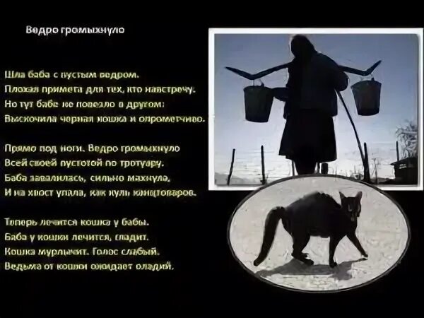 Если черный перейдет песня. Черная кошка с пустым ведром. Черный кот примета. Баба с пустым ведром примета. Суеверия женщина с пустым ведром.