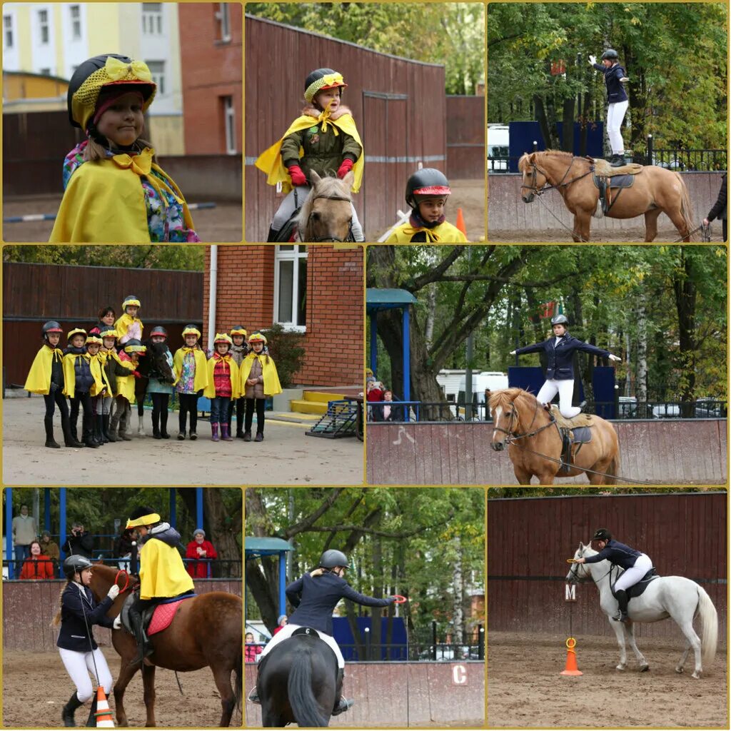 Солнечный остров всеволожск конюшня. Конюшня кабицыно обнинск. Детский парк фили конюшня. Конно-спортивный клуб фили. Конюшня в фили.