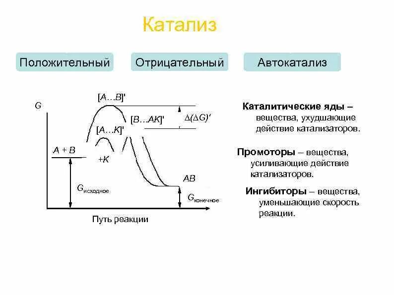 Путь реакция. Путь реакция