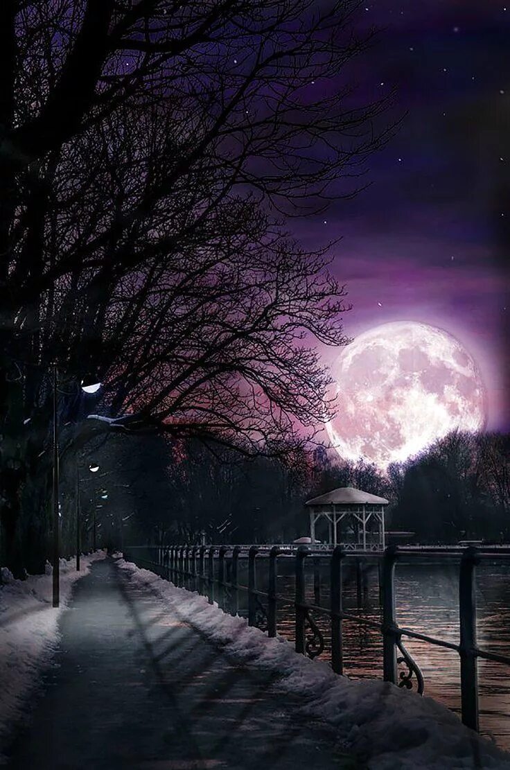 Ночной пейзаж. Парк ночью. Красивая ночь. Лунная ночь. Лунной ночью свет загадочно