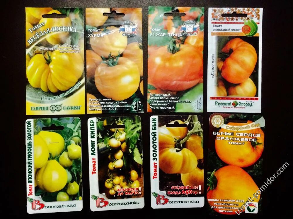 Томаты седек жар птица. Томат жаркие угли характеристика и описание. Томат жаркие угли сибирский сад. Томат жара характеристика и описание сорта отзывы. Томат жаркие угли характеристика и описание.