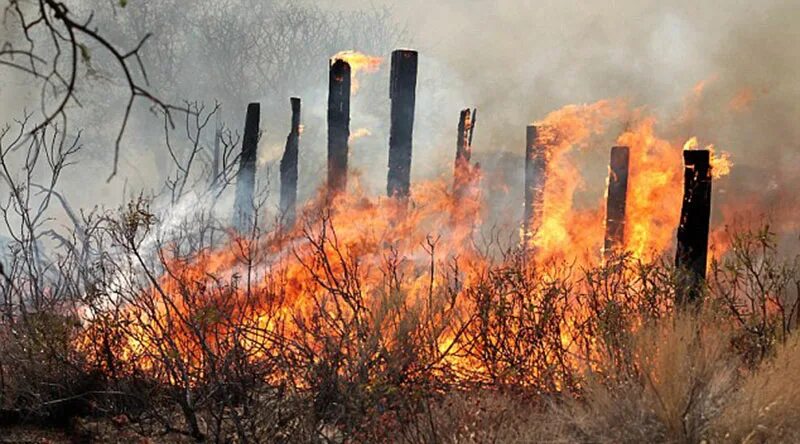 Пожары в ограждениях. Пожар в 2015 году в копьево хакасия. Горящий забор. Горит забор. Пожар в тосно.