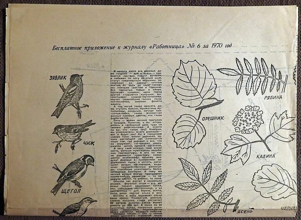 Приложение к журналу крестьянка. Приложение к журналу работница. Приложения к журналу работница и крестьянка. Приложения к журналу работница 70-80 годов. Приложения к журналу работница и крестьянка.