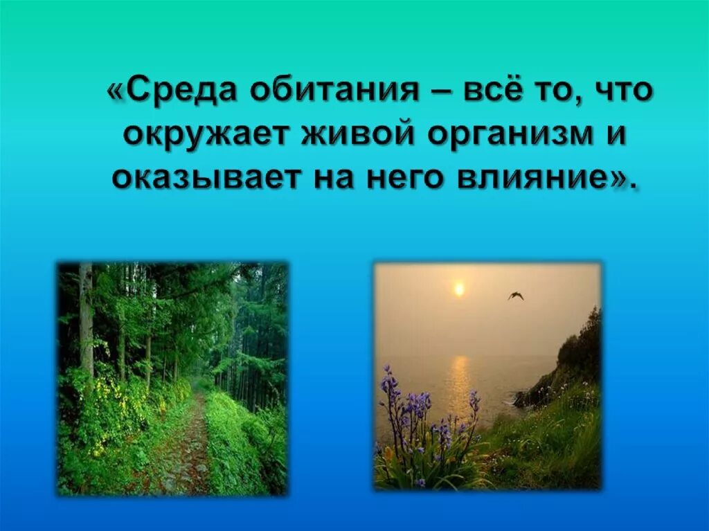 Среда обитания это часть природы. Среда обитания. Среда обитания это совокупность. Среда обитания – это все, что окружает организм.. Среда обитания Живая Живая и неживая.