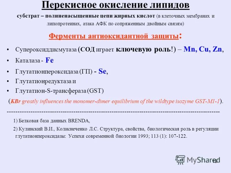 Ферменты пол