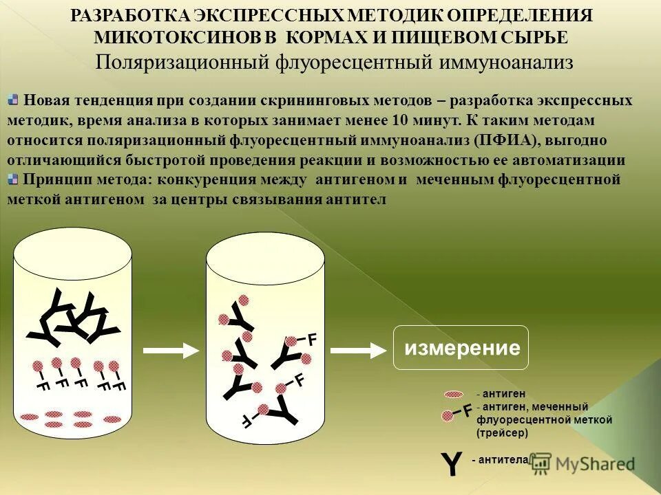 Микотоксины методы определения микотоксинов. Микотоксины перечень. Микотоксины методы определения микотоксинов. Микотоксины методы определения микотоксинов. Скрытые микотоксины.