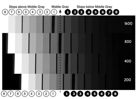Gray test