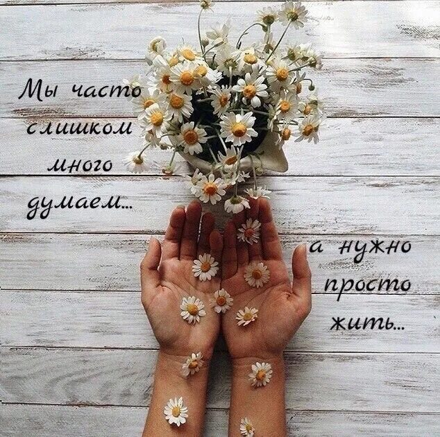 Пусть идеи