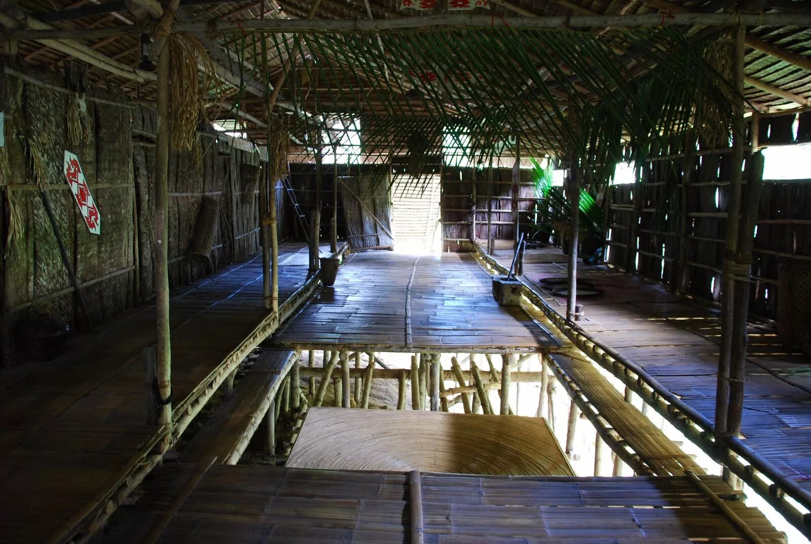 Глава оршанского района рмэ. Деревня мари-кужеры моркинский район. Деревня мари мари. Деревня мари мари. Mari-mari (мари-мари) как растет дерево.