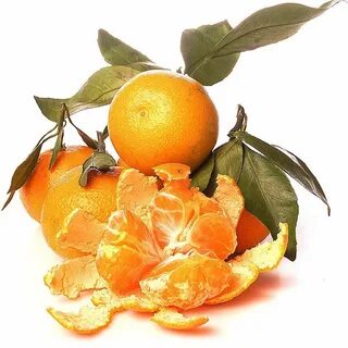 Мандарины на прозрачном фоне