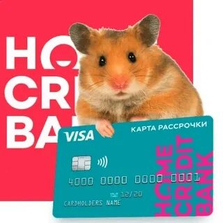 Ежедневный код хомяк 9 июля