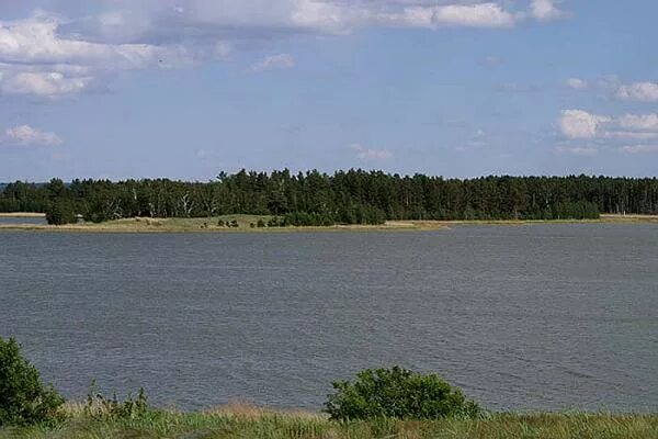 Гуселетовское озеро Алтайский край. Мормышанское озеро Алтайский край. Гуселетовские плесы. Озеро Мормышанское Романовского района. Озеры алтайского края