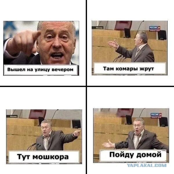 Жириновский мемы 2022. Жириновский демотиваторы. Жириновский мемы. Жириновский мемы. Мем с жириновским.