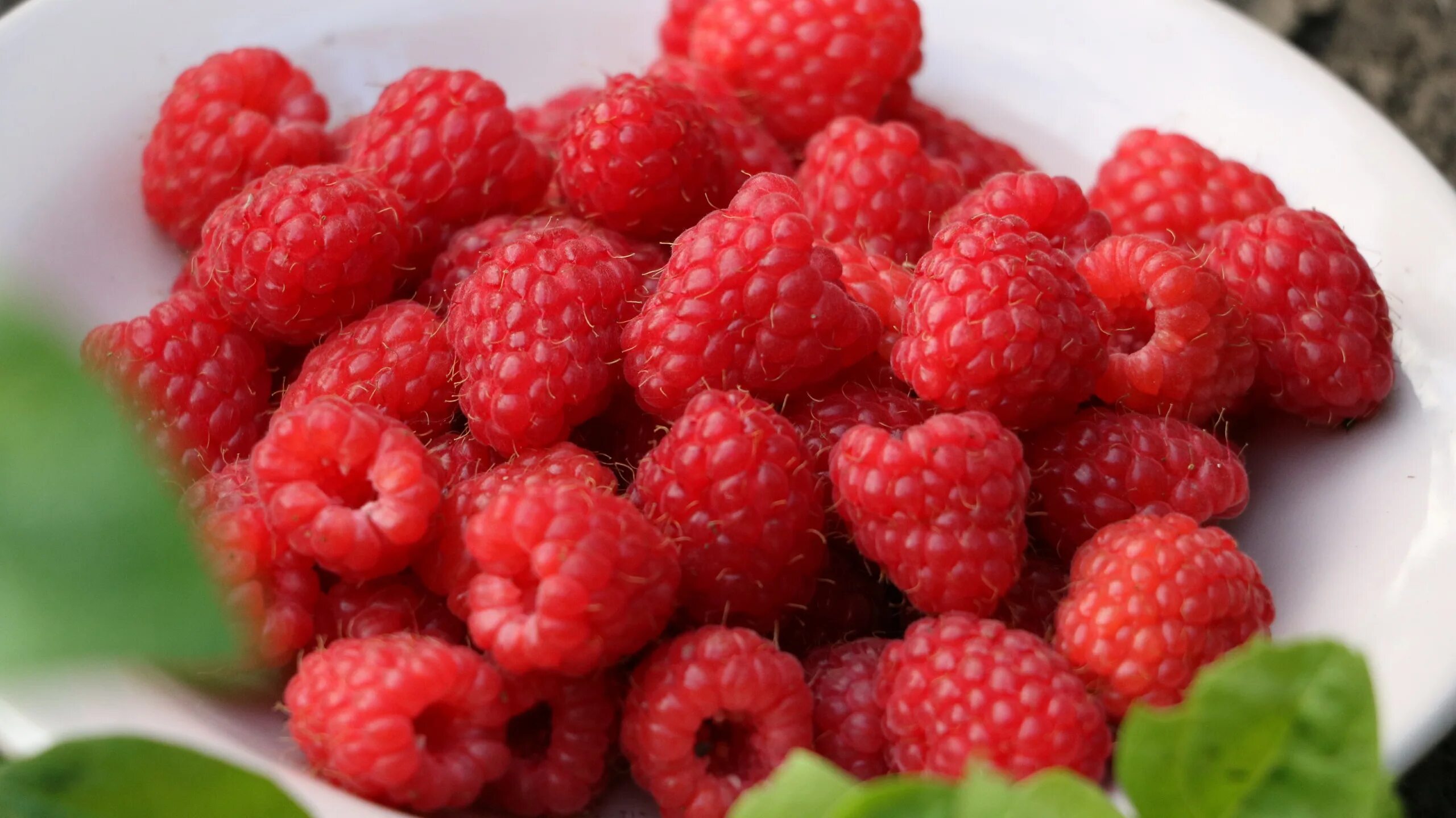 Raspberry