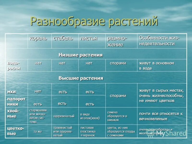 Низшие и высшие растения таблица 5 класс. Сравнительная таблица низших и высших растений. Высшие растения таблица. Таблица высших растений.