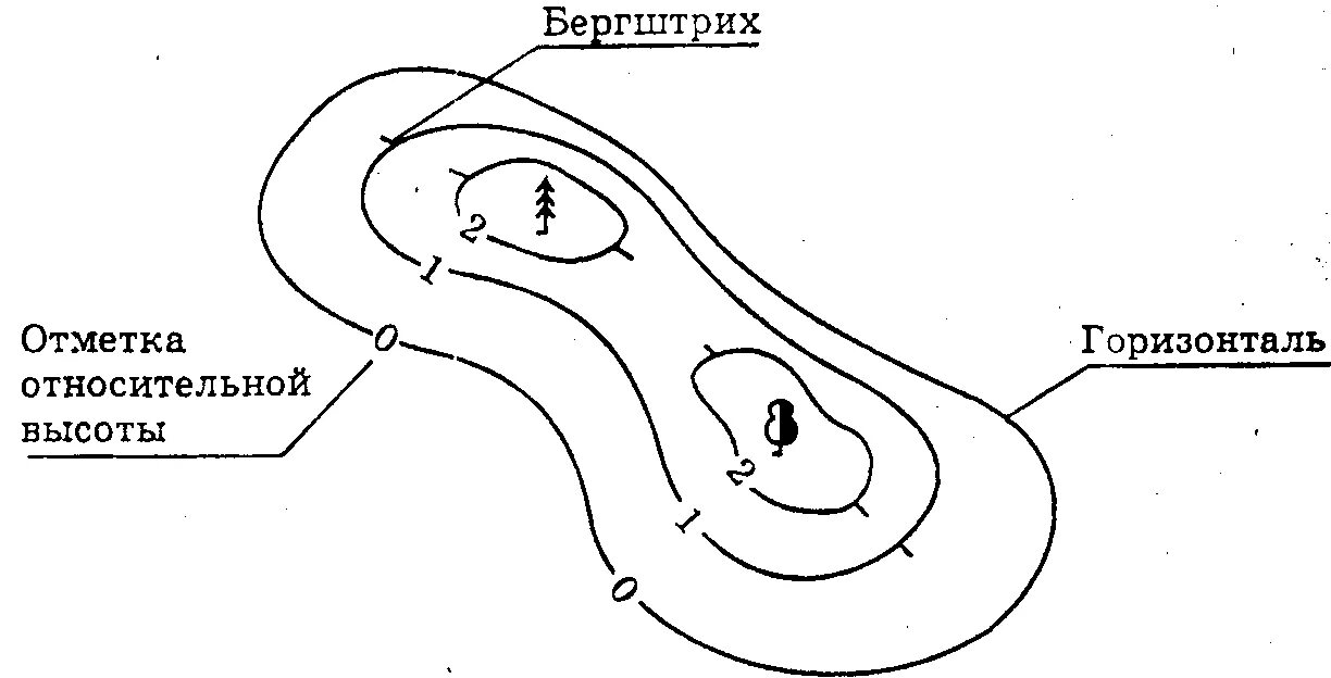 Относительная высота. Горизонтали и бергштрихи на топографической карте. Горизонтали абсолютная и Относительная высота. Бергштрих на горизонталях. Изображение холма на карте.