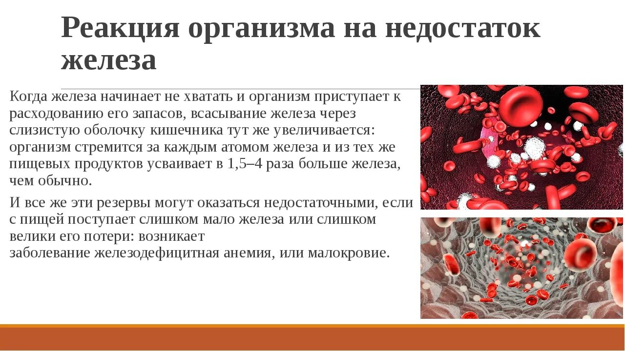 Что бывает при нехватке железа в организме человека. Недостаточно железа в организме. Заболевания при недостатке железа. Железы организма человека. И прочего железа