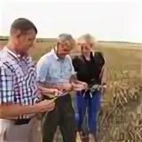 Зао октябрьское