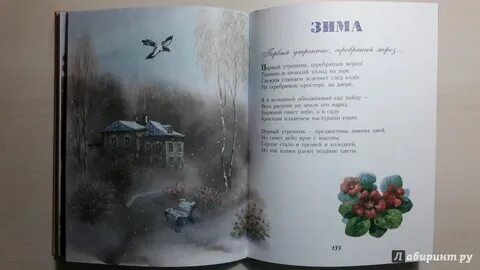 Бунин времена года