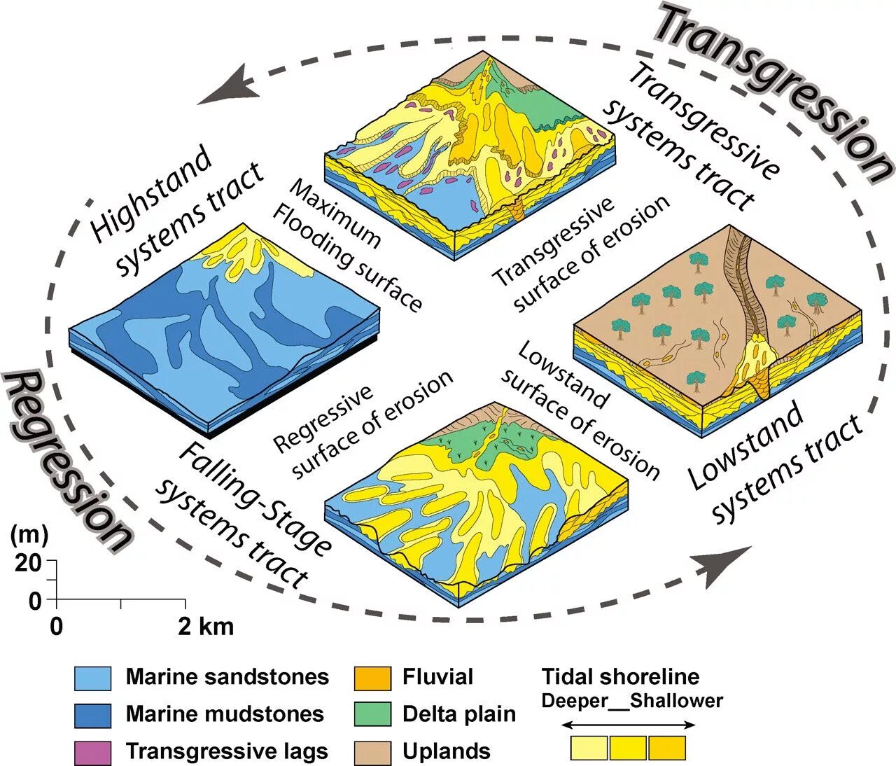 Geography earth science. Geography earth science разница. Пиктограмма география. Air flow cells global atmospheric circulation. Geography earth science.