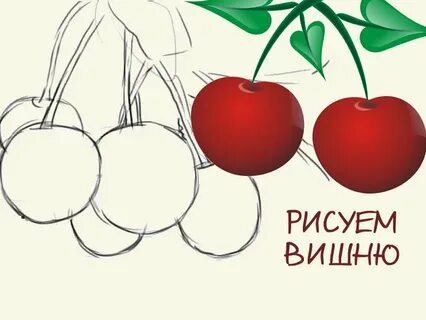 Ответ 6 вишен