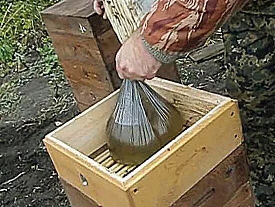 Подкормка пчел осенью пропорция. Подкормка пчел осенью пропорция. Подкормка пчел осенью пропорция. Кормушка для пчел. Подкормка пчел сахарным сиропом.