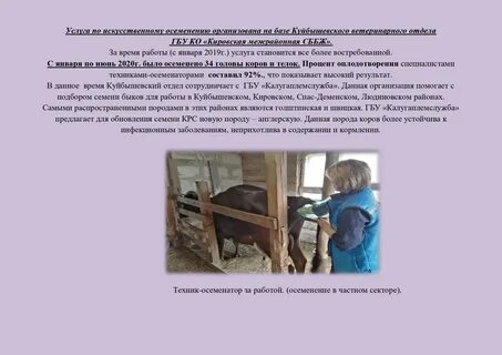 Инструкция по искусственному