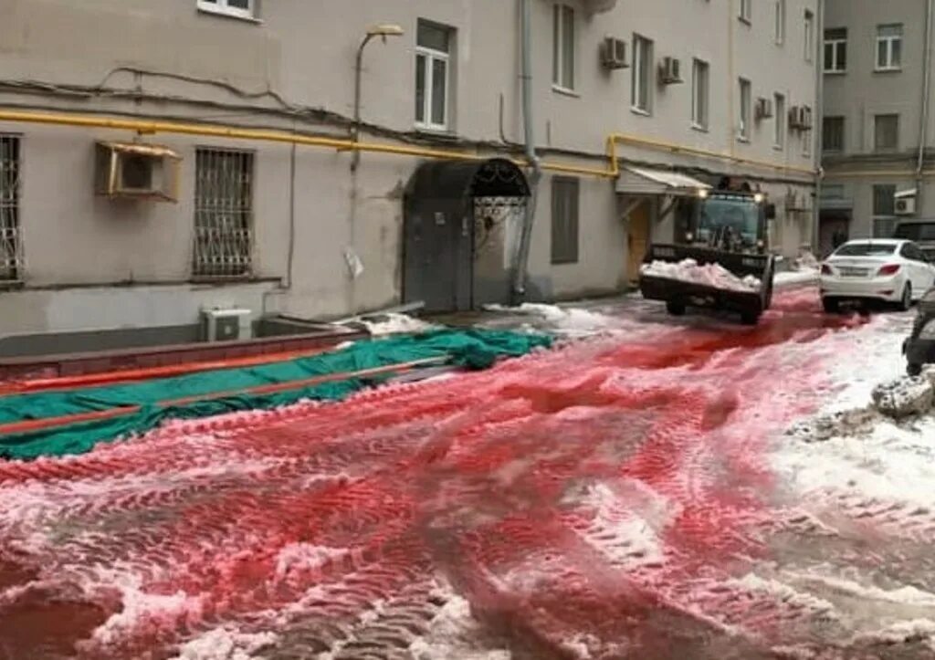 Красный снег хламидомонада. Водоросль хламидомонада снежная. Красный снег и снежная хламидомонада. Сьерра невада розовый снег. Хламидомонада красная водоросль.