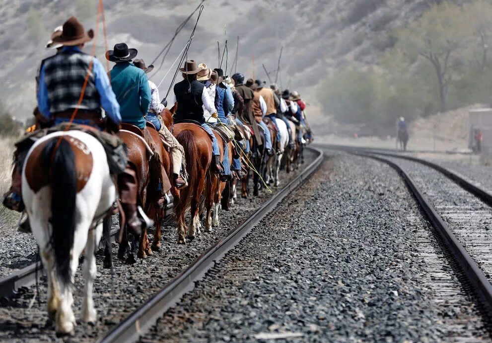 Штат Монтана Ковбои. Лошадь на дороге. Перегон лошадей. Лошадь в поезде.