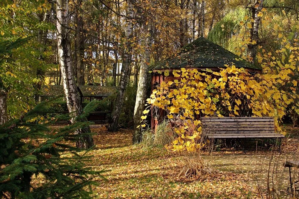 Осенняя беседка. Осень в саду. Заброшенный осенний сад. Сад осенний за сараем. Паустовский осенние