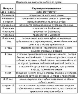 Распознать возраст