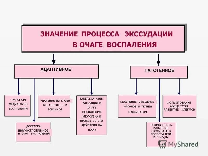 Как открыть свое дело. Что значит дело в производстве. Особое производство в гражданском процессе. Виды описей дел в делопроизводстве. Что значит дело в производстве.
