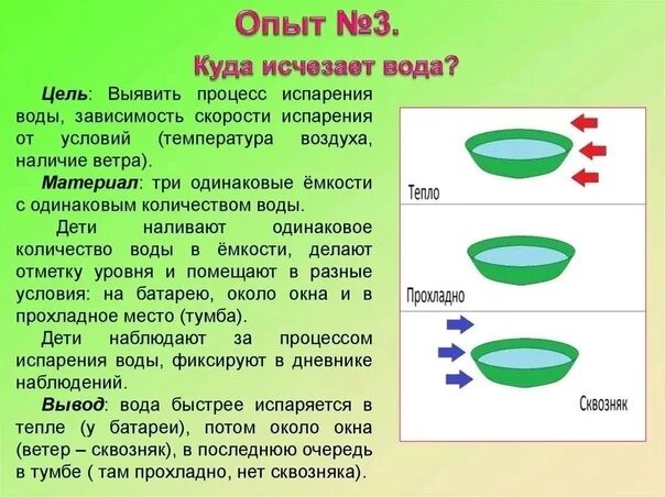 Ступенчатое испарение воды ц ель схема процесса Почему у кошки из носа течет прозрачная жидкость, как вода: причины явления и сп