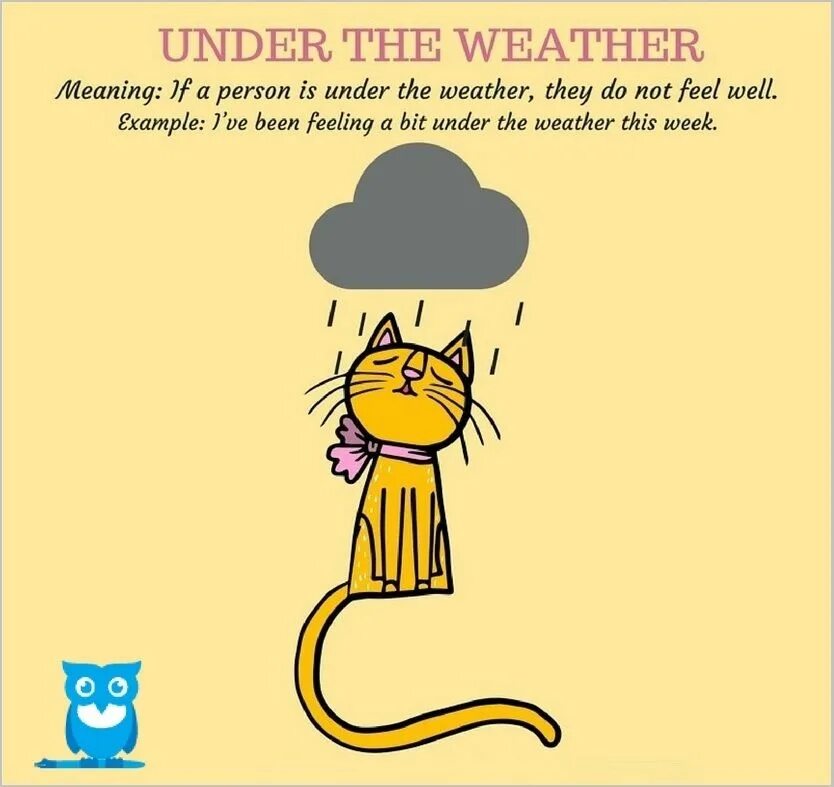 Feeling under the идиома. Under the weather meaning. Feel a bit under the weather идиома. Under the weather idiom. Feel under the weather перевод идиомы.
