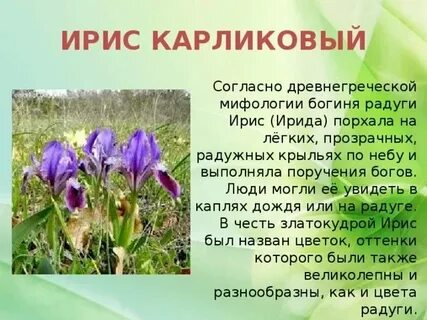 Как отключить ирис