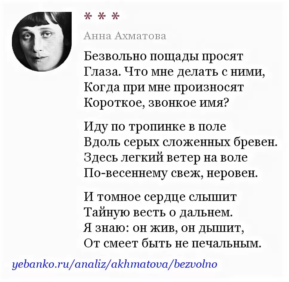 Глаза ахматовой. Безвольно пощады просят Ахматова. Стихи Ахматовой глаза. Стихотворение безвольно пощады просят.