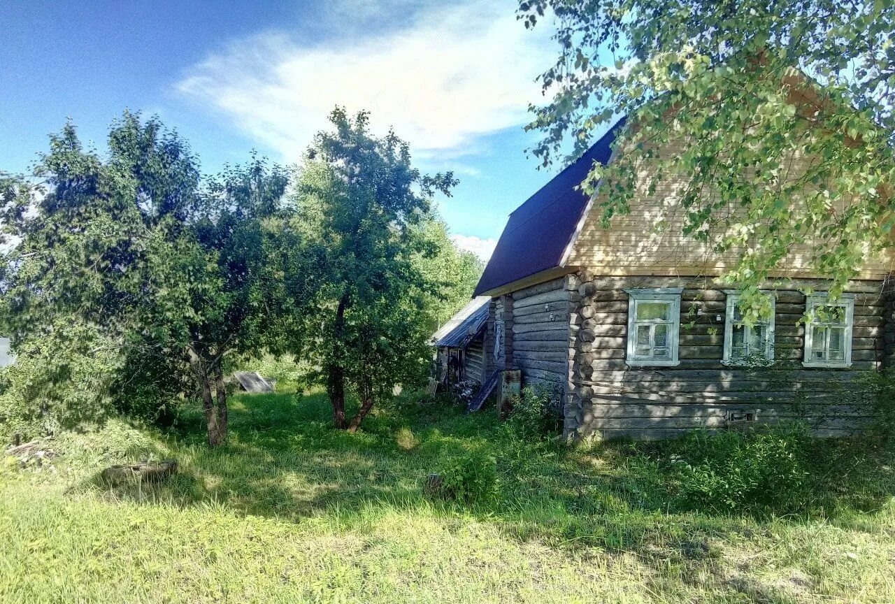 Домик в новгородской области. Красная горка Новгородская обл Пестово. Охона Новгородская область Пестовский район. Деревня красная горка Новгородская область. Пестовский лагерь Охона.