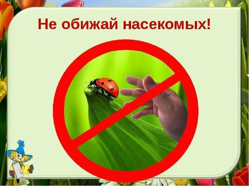 Знаки защиты природы. Не ловите насекомых. Безопасное проведение на природе. Правила поведения на природе. Берегите насекомых картинки для детей.