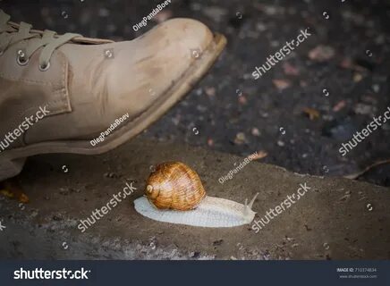 crush snail boots - printtio.com.