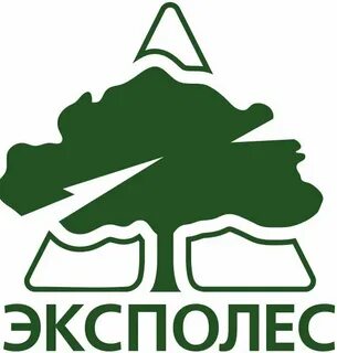 Эксполес владивосток