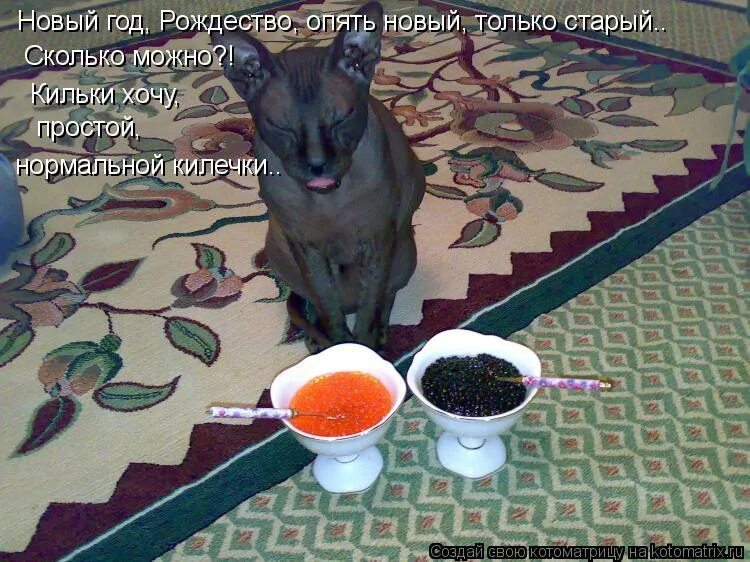 Опять предыдущую. Анекдоты про старый новый год. опять новый год приколы. совсем голодный. старый новый год фото юмор.