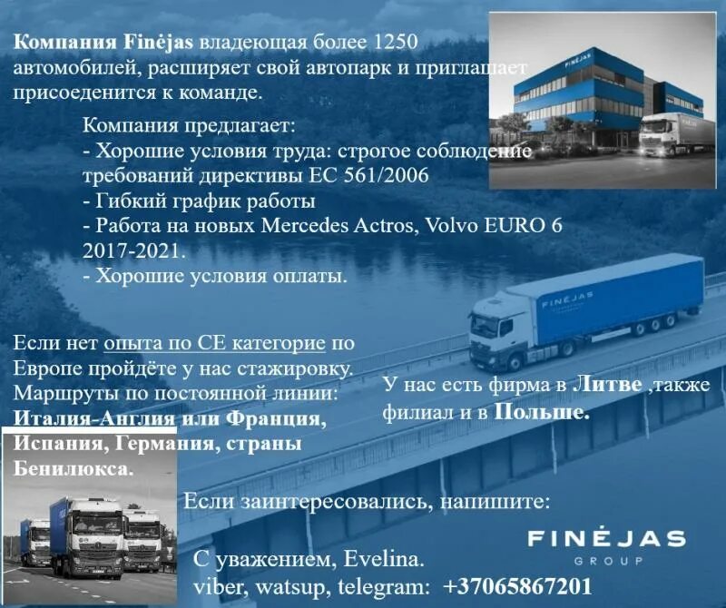 Работа международником в минске. Finejas. Finejas Group. Finejas Group фото. Finejas директор.