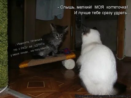 По доброму не умеешь