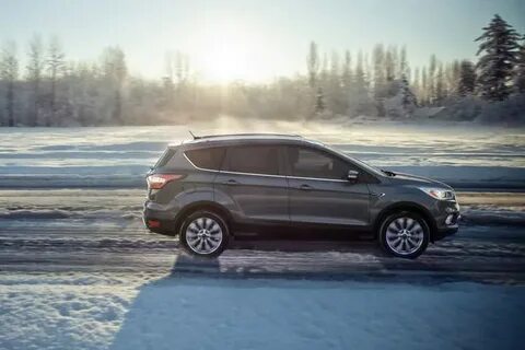 V kuga