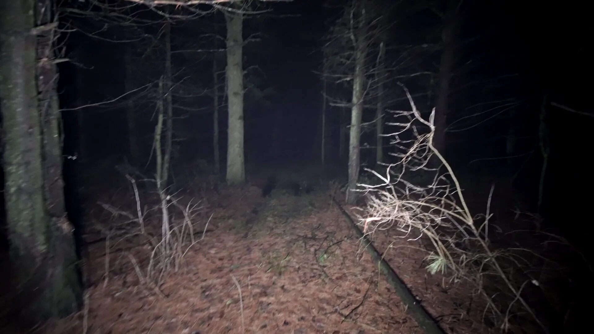 Scary night horror