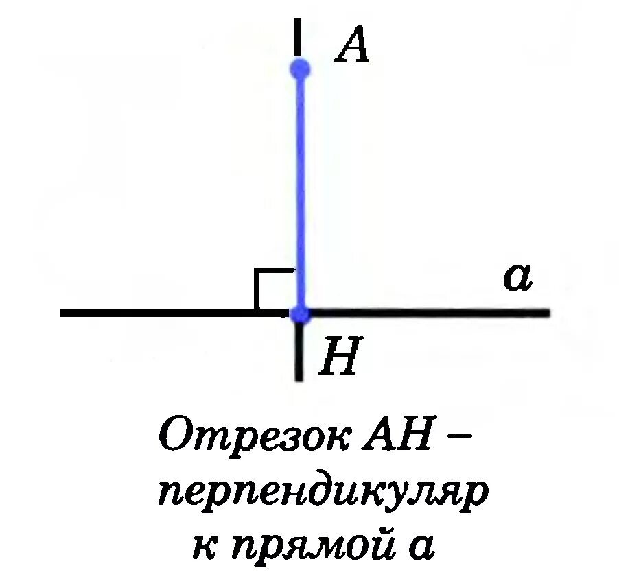 Каким символом обозначают перпендикулярные прямые. Перпендикуляр к прямой 7 класс. Перпендикуляр к прямой это отрезок. Перпендикуляр к прямой 7 класс геометрия. Перпендикуляр к прямой 9 класс.