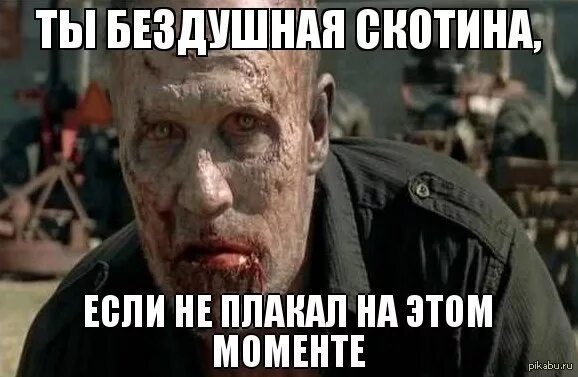 Ты скотина. Скотина мем. Поняла скотина. Что такое слово скотина. Мем кот скотина.