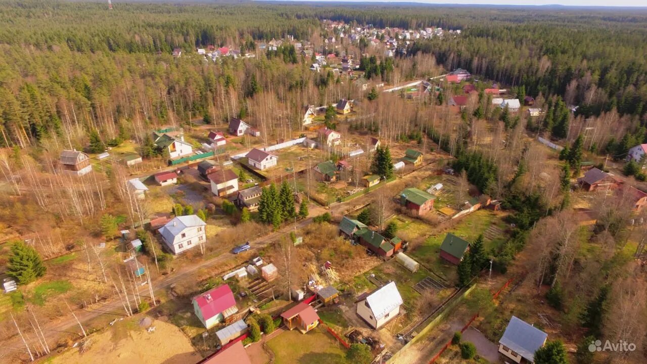 Посёлок большое поле. Посёлок большое поле. Поселок в поле. Река полевая выборгский район. Посёлок большое поле.