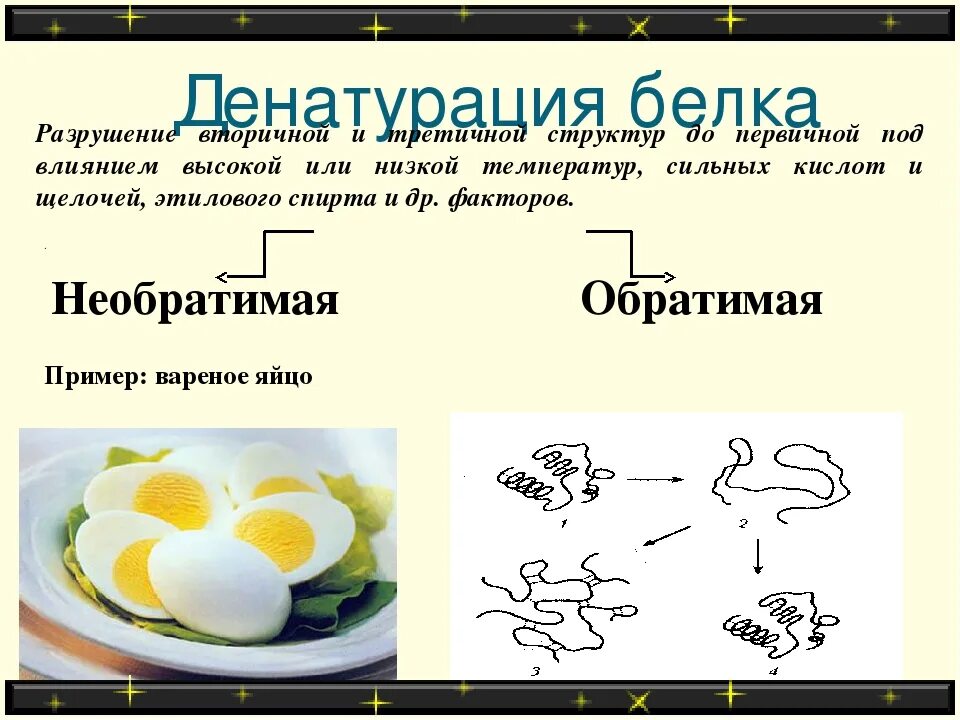 Процессы денатурации белка. Денатурация и ренатурация белка кратко. Необратимая денатурация белка схема. 4 Стадии денатурации белка. Денатурация белка это обратимый процесс.